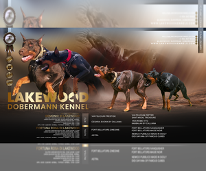 Doberman Pinscher Litter for sale in FORT LAUDERDALE, FL, USA