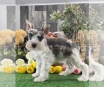 Image preview for Ad Listing. Nickname: Melody