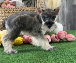 Image preview for Ad Listing. Nickname: Mimi