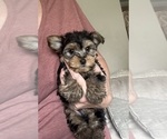 Image preview for Ad Listing. Nickname: REMMIE