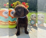 Image preview for Ad Listing. Nickname: Ready to Go
