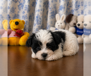 Main image of advertise