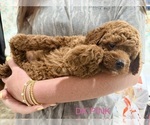 Image preview for Ad Listing. Nickname: Pink Girl