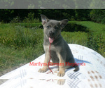 Image preview for Ad Listing. Nickname: Cider Lane