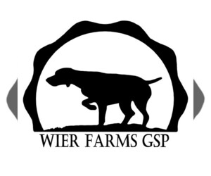 German Shorthaired Pointer Dog Breeder near MOYIE SPRINGS, ID, USA