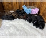 Small #63 Breeder Profile image