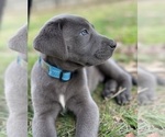 Small #57 Breeder Profile image