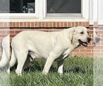 Small #8 Breeder Profile image