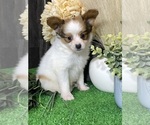 Small #2 Breeder Profile image