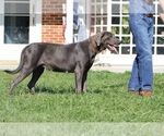 Small #34 Breeder Profile image