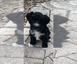 Small #10 Breeder Profile image