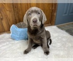 Small #55 Breeder Profile image