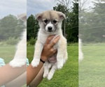 Small #5 Breeder Profile image