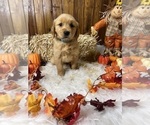 Small #17 Breeder Profile image