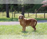 Small #4 Breeder Profile image