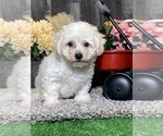 Small #1 Breeder Profile image