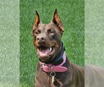 Small #3 Breeder Profile image