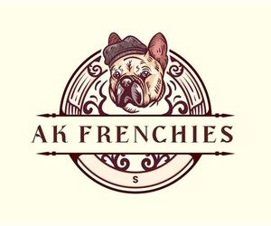Faux Frenchbo Bulldog Dog Breeder in LUTZ, Florida USA