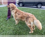 Small #77 Breeder Profile image