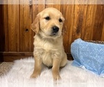 Small #37 Breeder Profile image