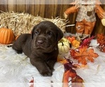 Small #23 Breeder Profile image
