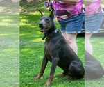 Small #4 Breeder Profile image