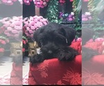 Small #2 Breeder Profile image