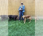 Small #75 Breeder Profile image