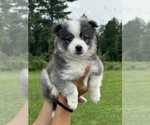Small #9 Breeder Profile image