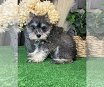 Small #3 Breeder Profile image