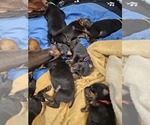 Small #5 Breeder Profile image
