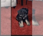 Small #5 Breeder Profile image