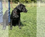 Small #13 Breeder Profile image