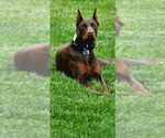 Small #2 Breeder Profile image