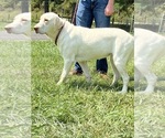 Small #10 Breeder Profile image