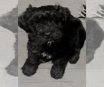 Small #1 Breeder Profile image