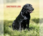 Small #36 Breeder Profile image