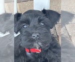 Small #4 Breeder Profile image