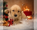 Small #30 Breeder Profile image