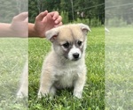Small #4 Breeder Profile image