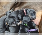 Small #7 Breeder Profile image