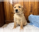 Small #66 Breeder Profile image
