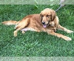 Small #76 Breeder Profile image