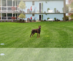 Small #1 Breeder Profile image