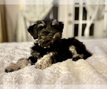 Small #9 Breeder Profile image