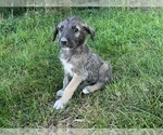 Small #7 Breeder Profile image