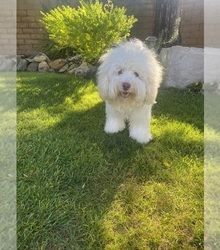 Father's photo