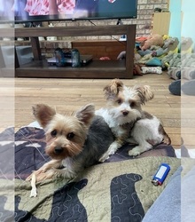 Mother's photo