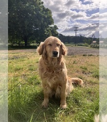 Mother's photo