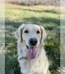 Mother's photo